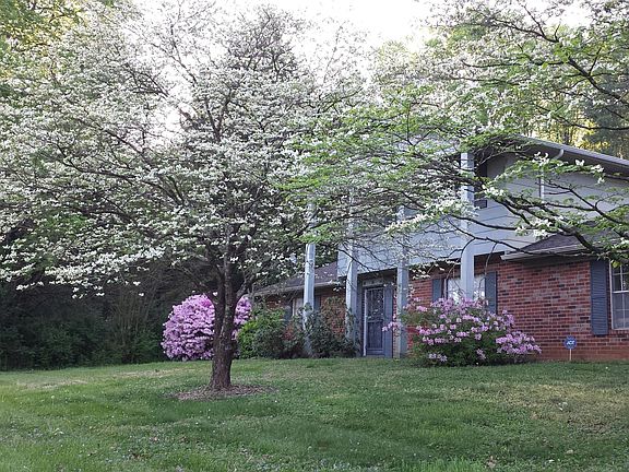 2nd image of 10516 Pinedale Dr