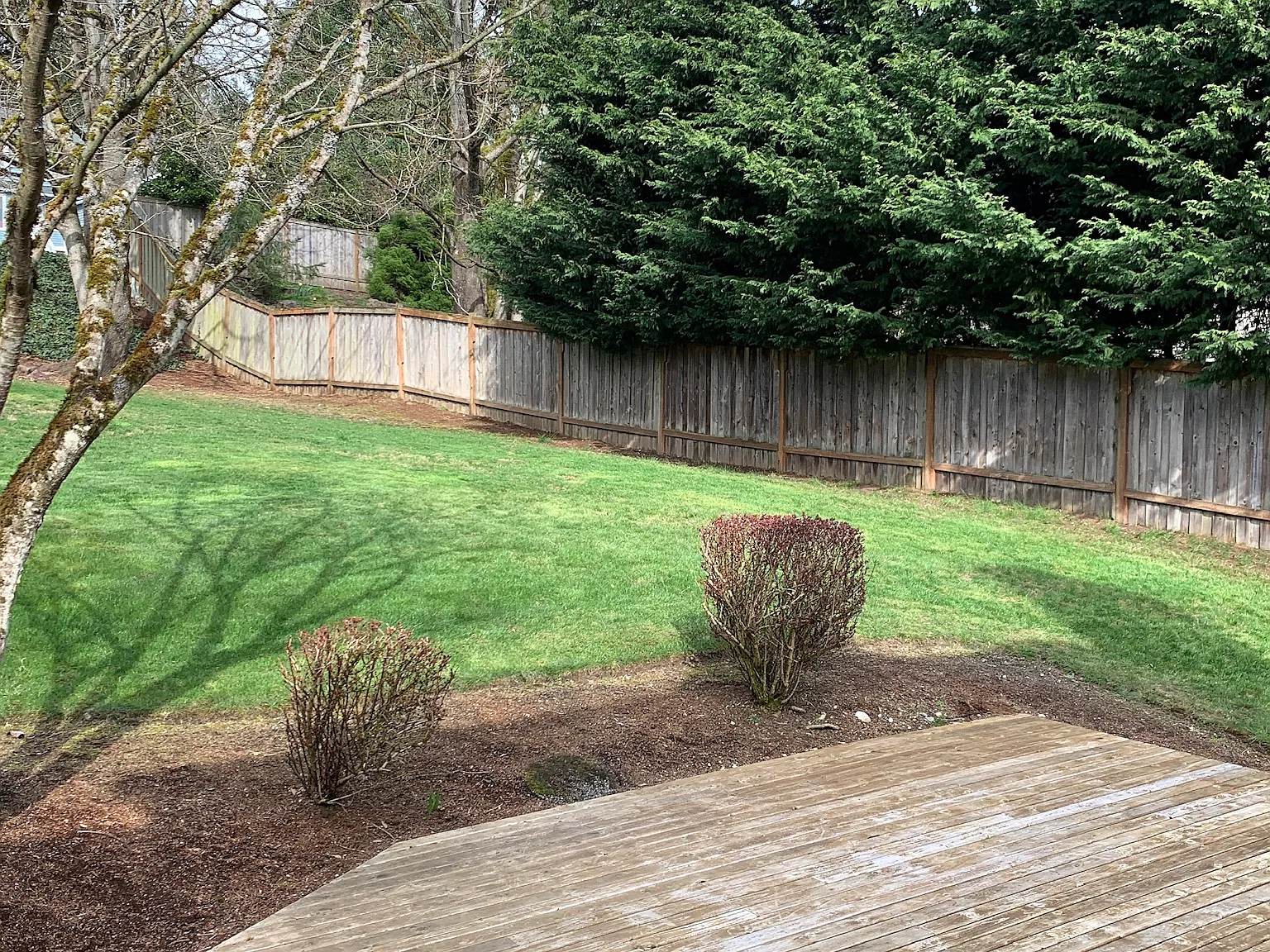 21511 NE 10th Pl — Photo 2