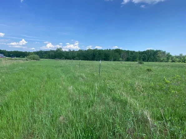 Pillager Creek Dr SW, Pillager, MN 56473