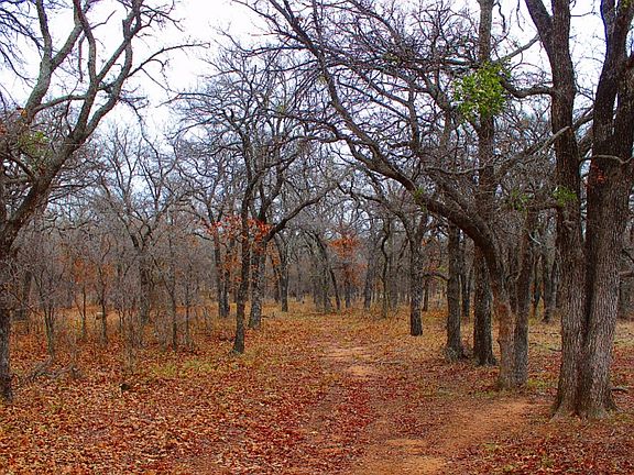 4th image of 498 County Road 458
