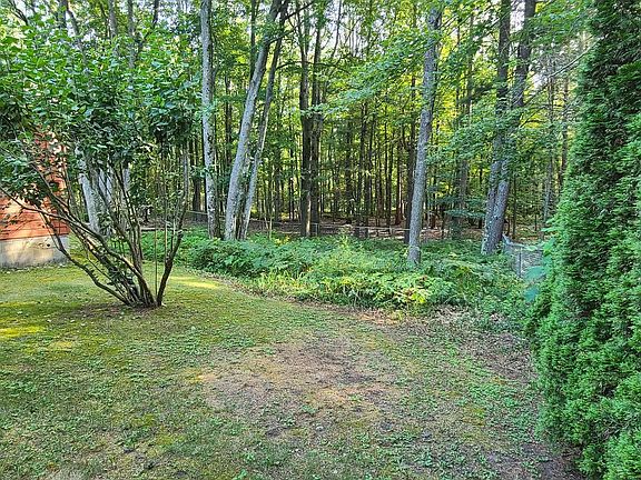 5th image of 4534 Oakridge Dr