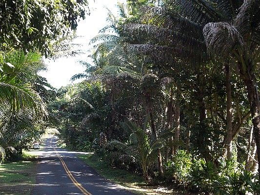 5th image of 12-7226 Kalapana Kapoho Beach Rd Lot 13