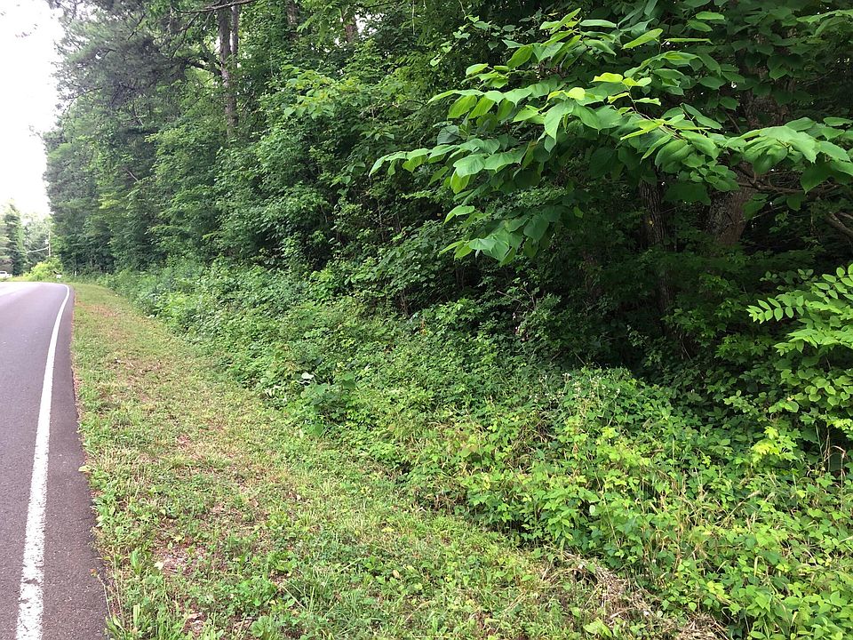 1st image of LOT 4 County Road 675