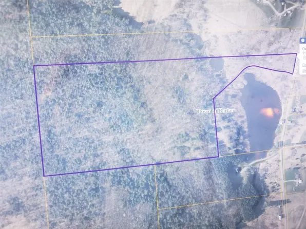 119 Pease Hill Rd, Whitney Pt, NY 13862