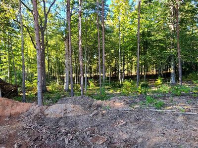 0 Belue Mill Rd, Landrum, SC, 29356