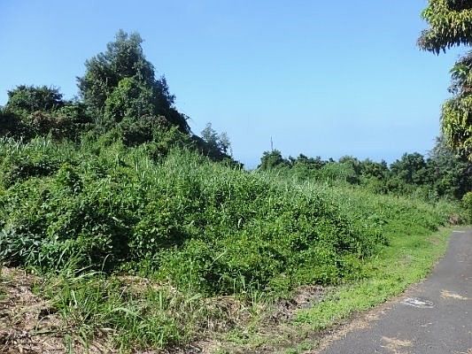 2nd image of 87-3008 Mamalahoa Hwy Lot 1