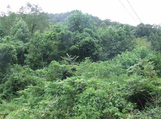 0 Scenic Dr, Blue Ridge, GA 30513