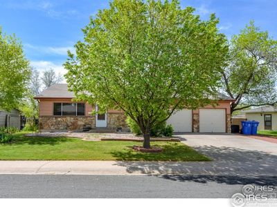 1114 Sycamore Dr, Loveland, CO, 80538