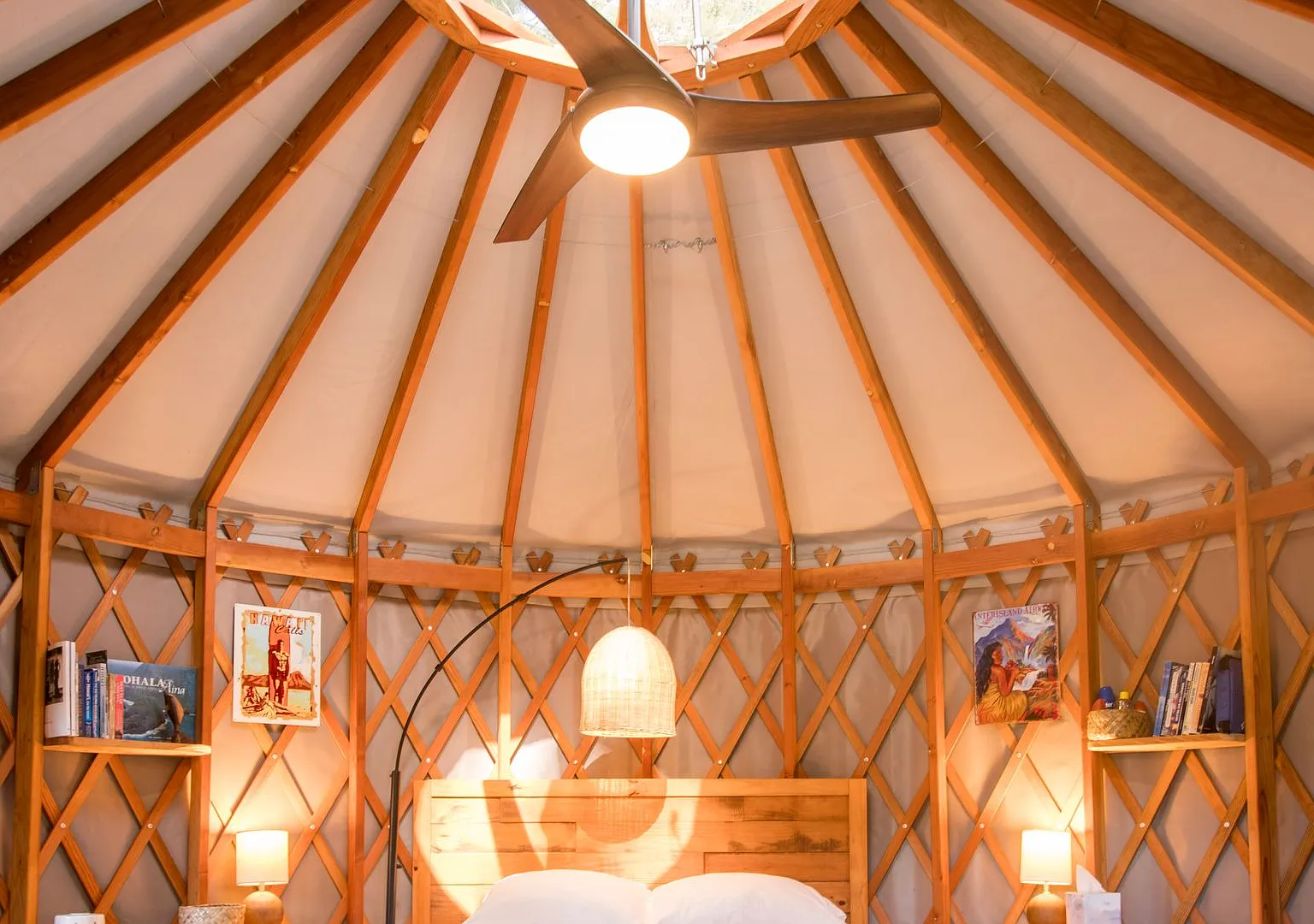 Furnished studio yurt in Hawi — Photo 3