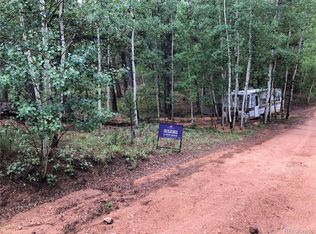 24 Hayes St, Bailey, CO 80421