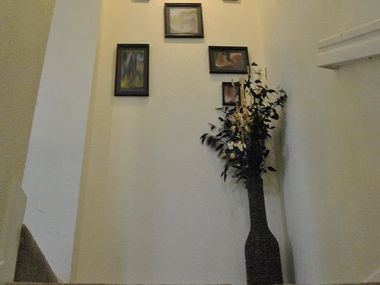 3509 Jasmine Cir — Photo 7