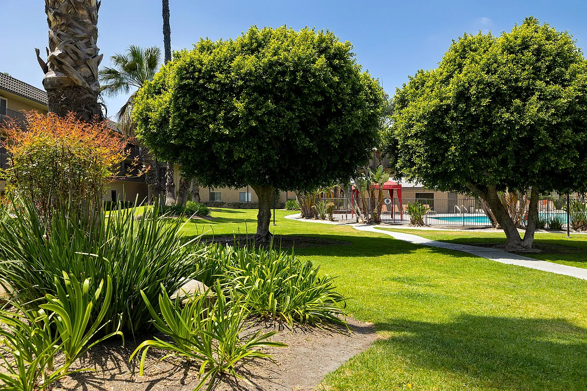 Building Photo - Coronado Palms Apartments