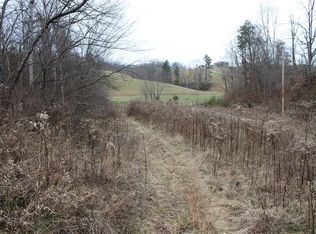 1065 Blaze Rd, West Liberty, KY 41472