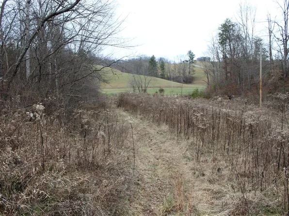 1065 Blaze Rd, West Liberty, KY 41472