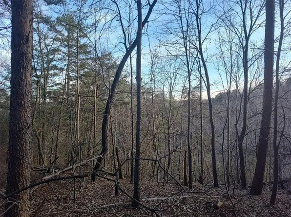 1058 Mayfield Ln NE Lot 1058, Ranger, GA 30734