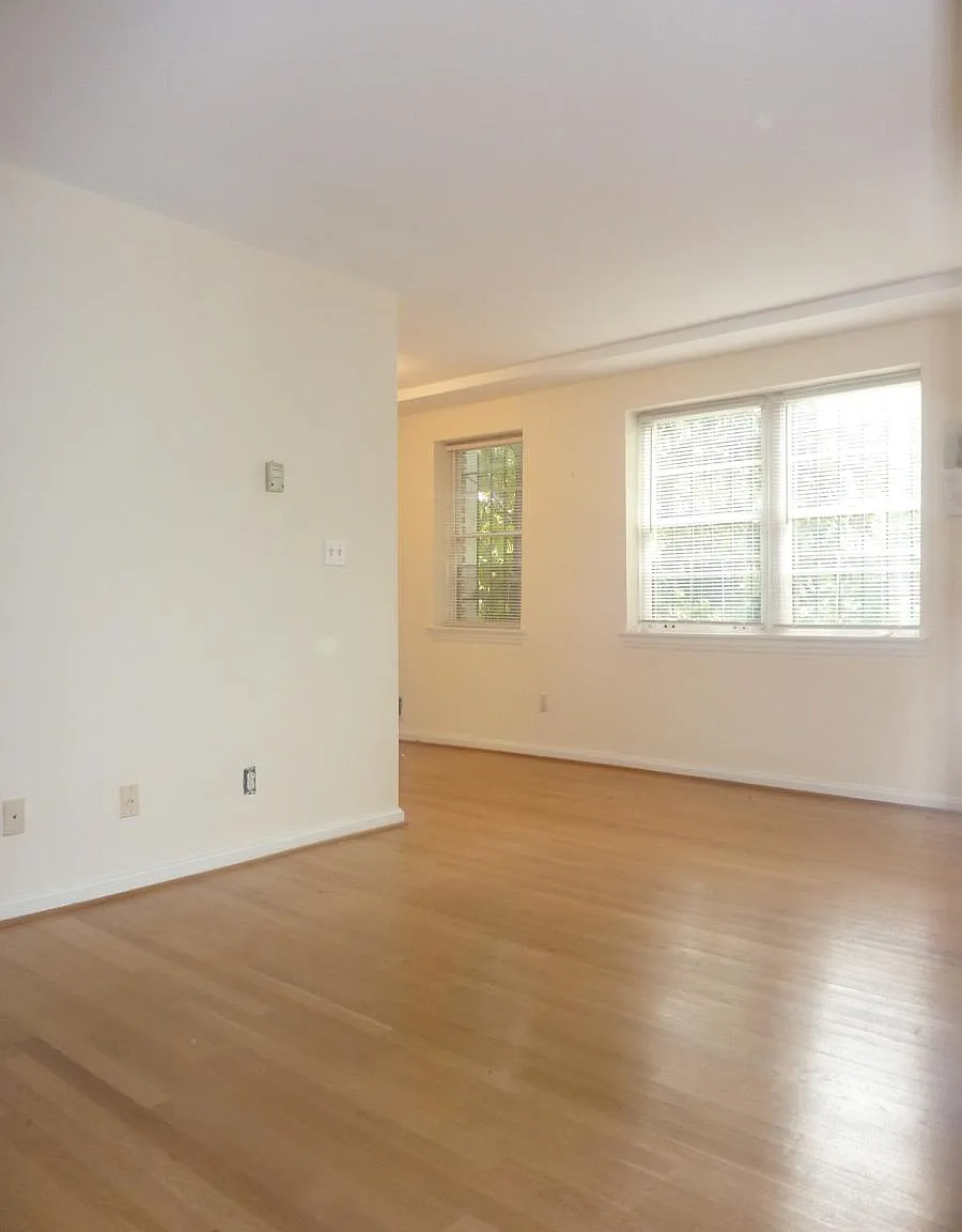 1 bed, $1,650 — Photo 2