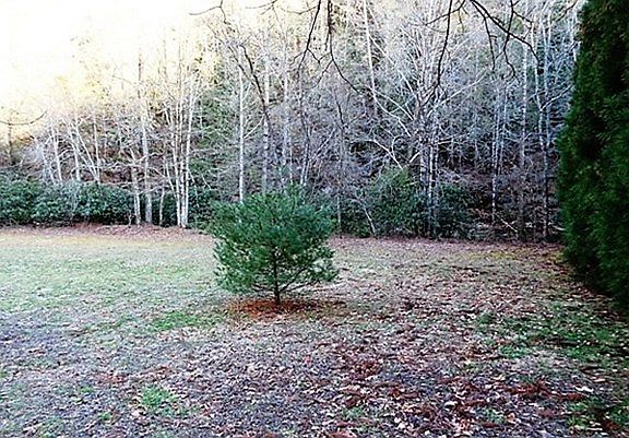 3rd image of LT 23 Barlow Fields Ln