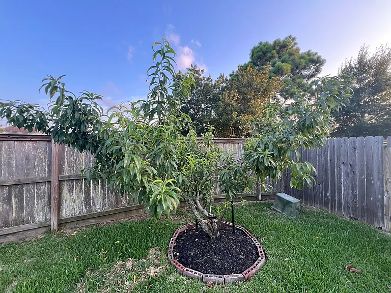 26955 Churchill Gate Ln — Photo 30