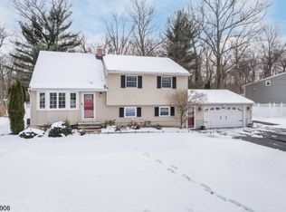 164 Johanson Ave, Hillsborough, NJ 08844