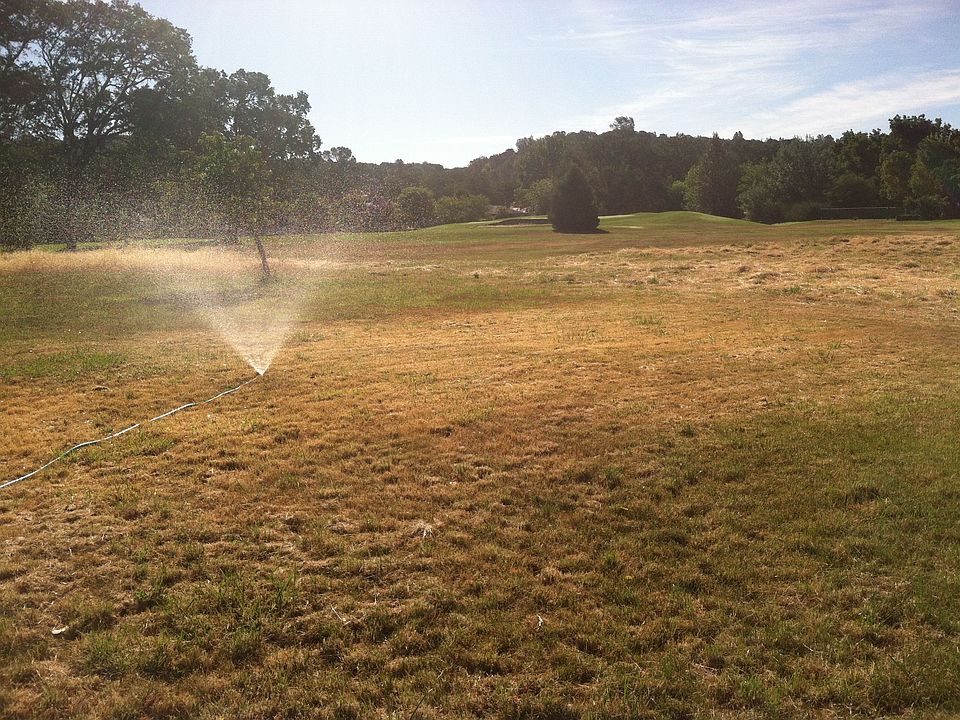 Rear Yard & Lawn