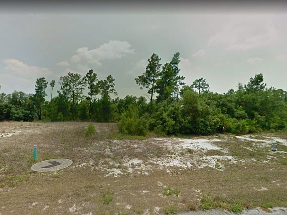 2nd image of 204 Hyacinth Ct