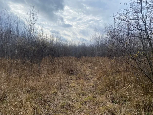 Near Timber Rd, Catawba, WI 54515