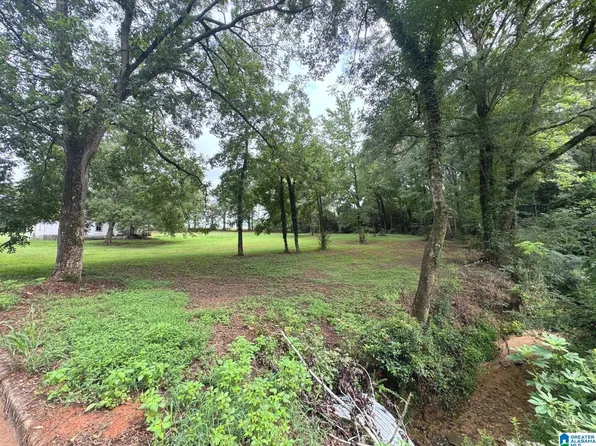 5th Ave S, Ashland, AL 36251