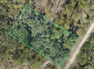 Softstone Dr LOT 3, Webster, FL 33597