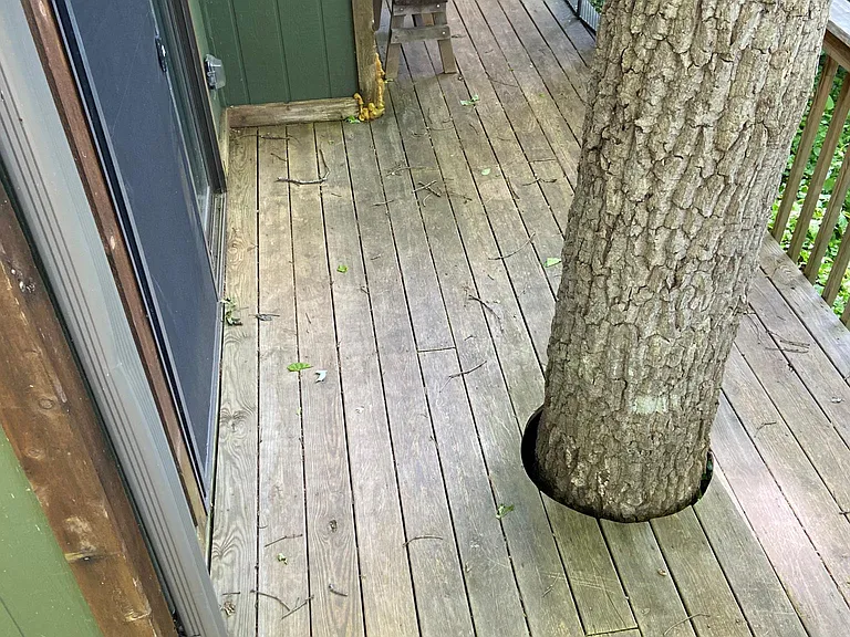 13 Wood Robin Ln — Photo 11