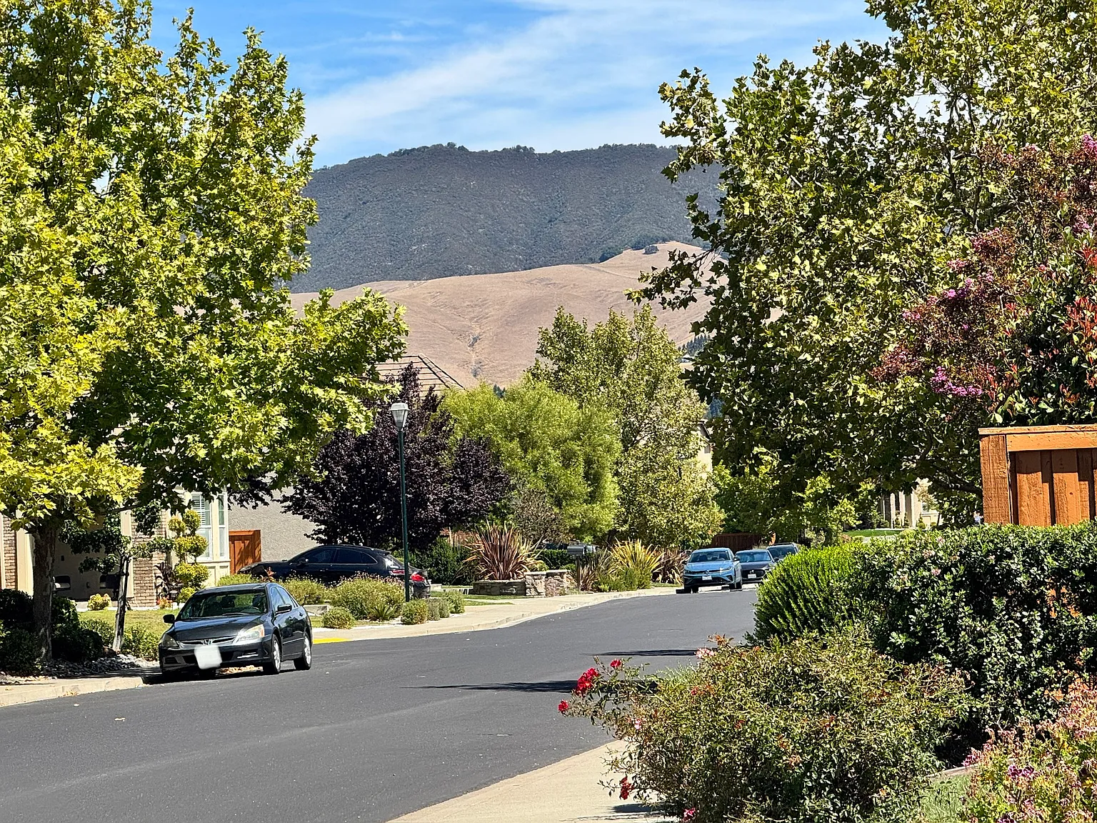 5 bed, 4.5 bath, 3668 sqft, $6,600 — Photo 4