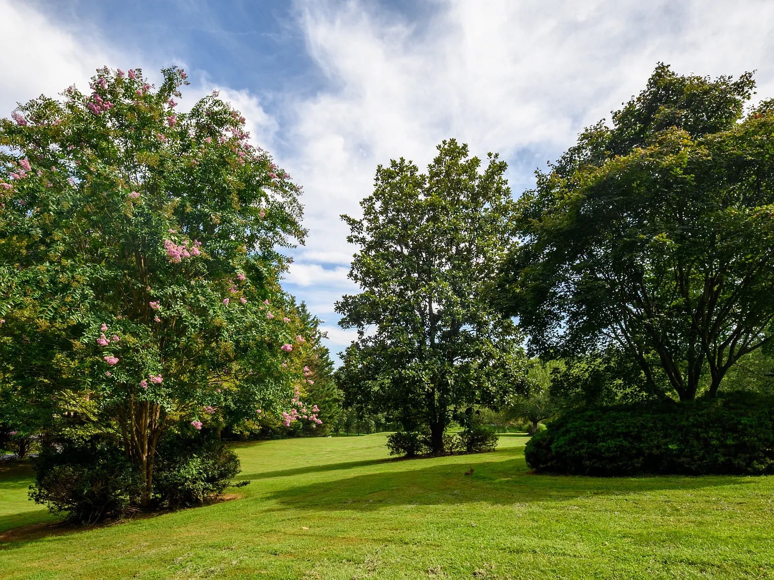 *#4512 Rutherford Way - 1 — Photo 3