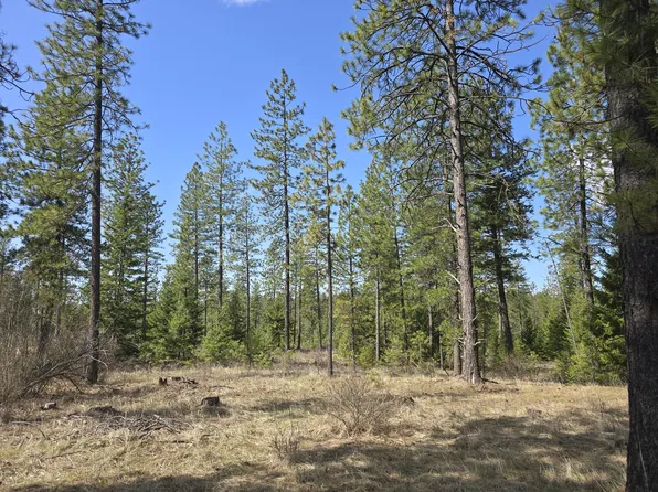 545X W Tarbert Rd, Deer Park, WA 99006