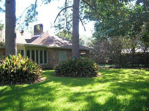 Back yard