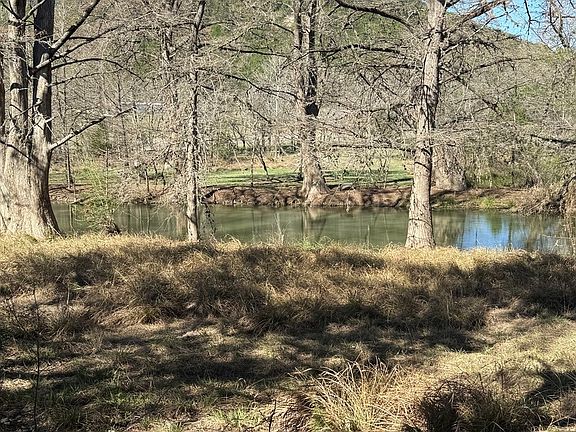 3rd image of 0 White Bluff Rd LOT 84