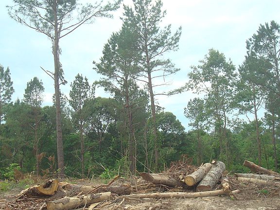 4th image of Us Highway 259 S