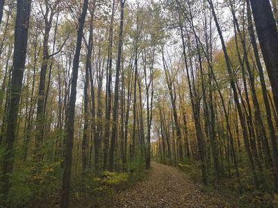 26565 Sherwood Rd, Belleville, MI, 48111