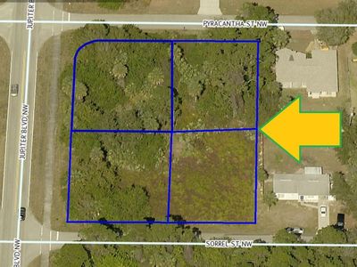 000000 4 Lots On Pyracantha-sorrel St, Palm Bay, FL, 32907