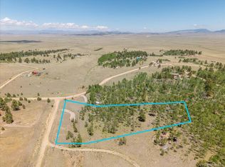 40 Brahma Court, Hartsel, CO 80449