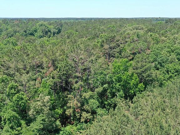 2nd image of 0 Us Highway 59 S