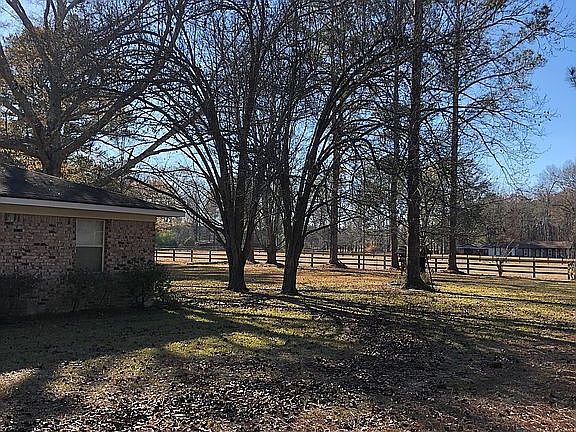 5th image of 107 Langford Farms Dr