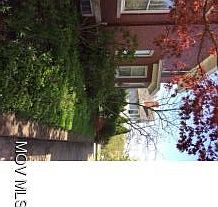 Side Landscaping