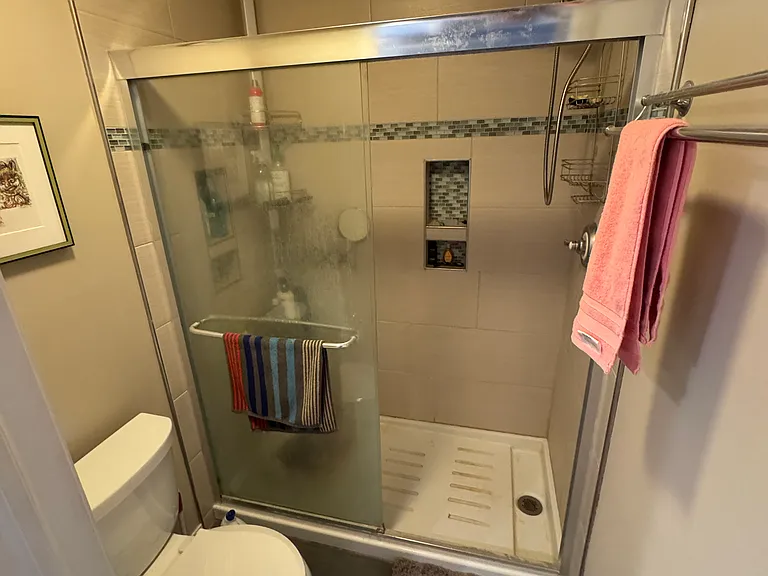 Master bedroom shower