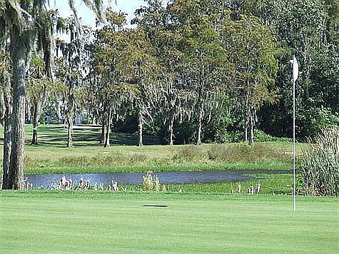 Golf course.