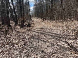 Tbd Townline Lake Rd, Harrison, MI 48625