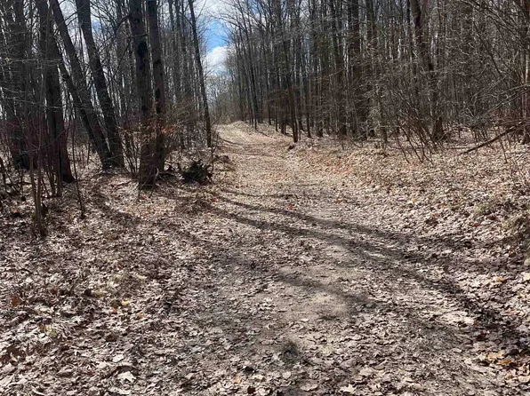 Tbd Townline Lake Rd, Harrison, MI 48625