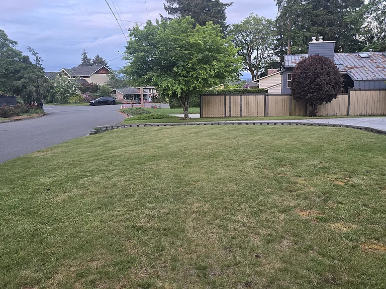 Front yard