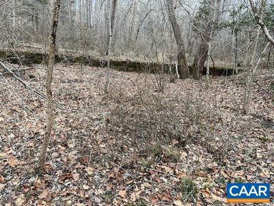 Old Sand Rd, Schuyler, VA, 22969