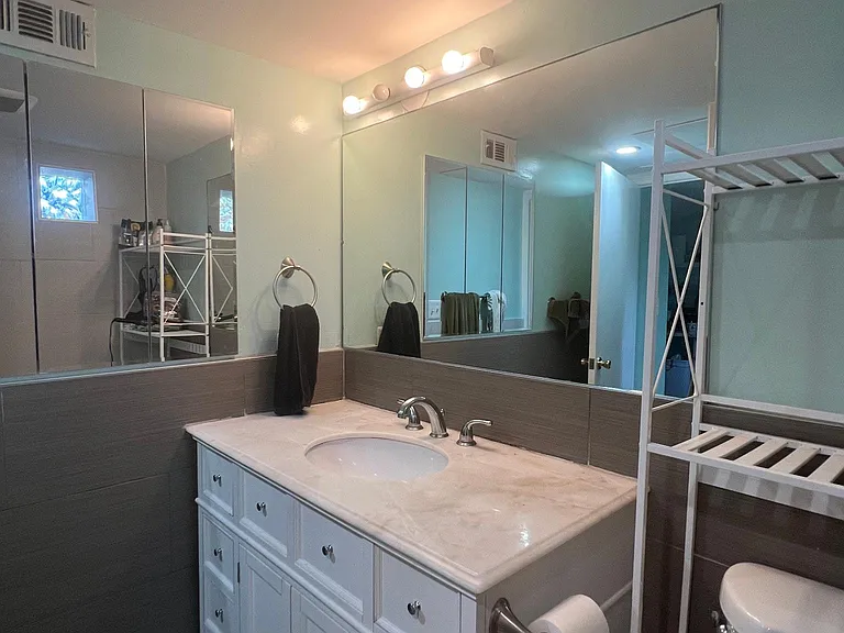 Lower Level Bathroom Vanity