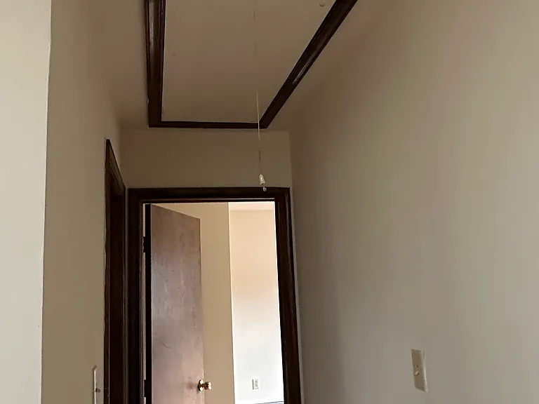 411 Marion St — Photo 20