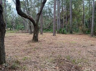 SW 291st Ave, Steinhatchee, FL 32359